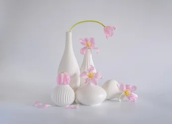Stilleben med lyserosa tulipaner