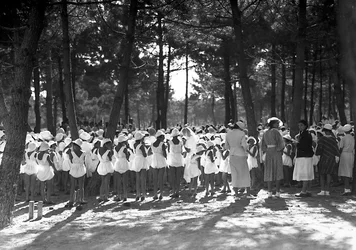 Villa Rosa Maltoni Mussolini: kvinnelige studenter samlet i furulunden (s/hv-bilde)