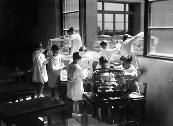 Villa Rosa Maltoni Mussolini: studenter som observerer burfugler (s/hv-bilde)