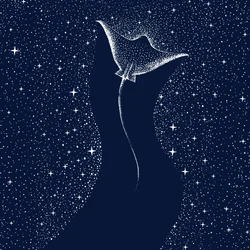 Kosmisk mantarokke