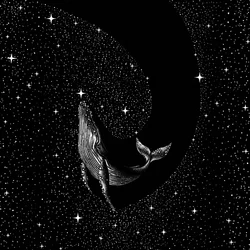 Kosmisk hval