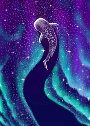 Nordlys og hvalhai