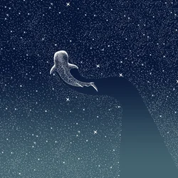 Hvalhai-galaksen