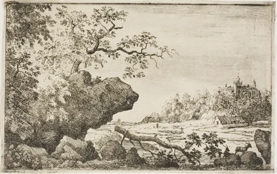 Gren av et tre
