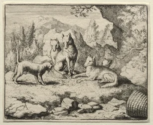 Reynard the Fox: The Cat Calls Reynard til retten