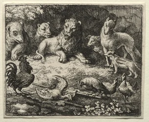 Reven Reynard: Hanens klage
