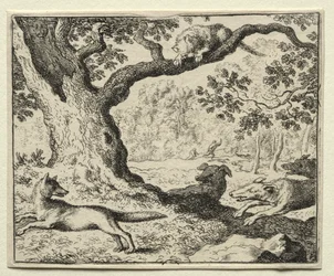 Reynard the Fox: Den illojale katten
