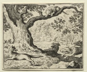 Reynard the Fox: Den illojale katten.