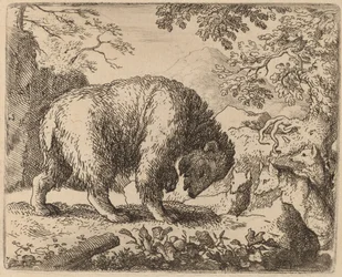 The Bear distrahert med Talk of Honey, sannsynligvis ca. 16451656.