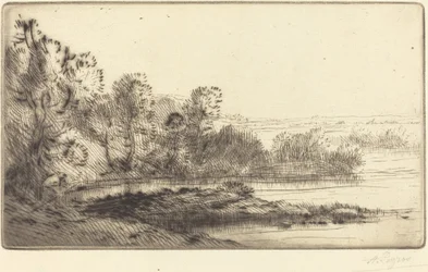 Langs Terne