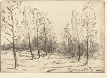 Avenue of Poplars Alley of Poplars.