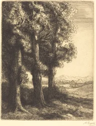 Corner of a Wood (Coin d