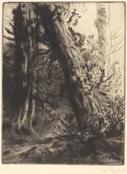 Kanten av en Brook Bord de ruisseau.
