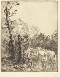 Gård i åssiden