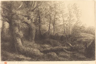 I skogen (Lisiere de foret)