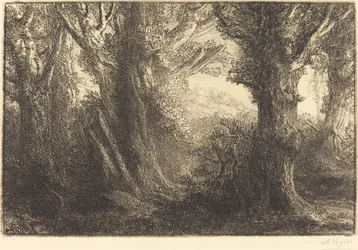 I Conteville-skogen (Dans la foret de Conteville)