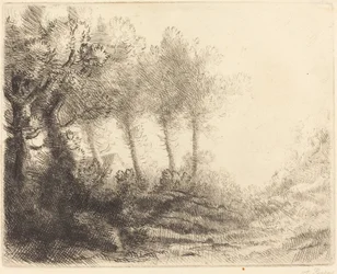 Landskap