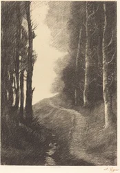 Landscape with Birch Trees (Le paysage aux bouleaux)   1246132   no       norwegian Successfully Translated  Original: Male Wood Duck in a Forest Pool, study for book Concealing Coloration in the Animal Kingdom, c1905-1 Translat: Male Wood Duck in a Forest