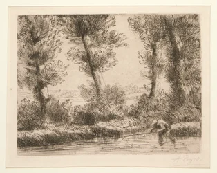 Les bords de la Liane (The Banks of the Liane)