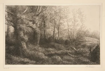 skogkanten