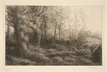 Skogkant