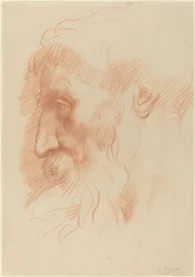 Studie av en manns hode [recto]