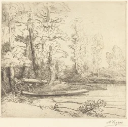 Trees at Water