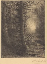 Woods in Winter Sun, 1. plate