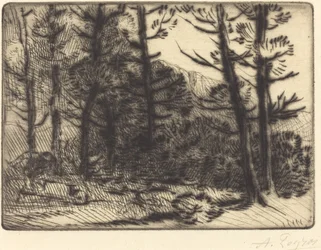 Woods in Winter Sun, 2. plate