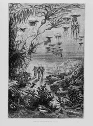 Illustrasjon fra «En verdensomseiling under havet» av Jules Verne (1828-1905), gravert av Henri Théophile Hildibrand (1824-97), ca. 1869-70