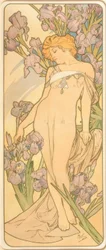 Dø Iris