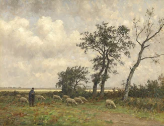 Landskap i Drenthe