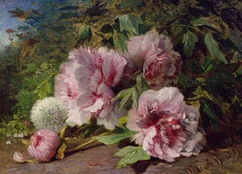 Studie av peoner, 1874
