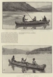 Laksefiske i Nord-Amerika