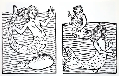 Havfruer og havmenn, fra The World Guide to Gnomes, Fairies, Elves and Other Little People av Thomas Keightley (1789-1872), utgitt 1880