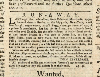 «Rebeccah Morehouses Pegg», The New-York Gazette: eller The Weekly Post-Boy, 13. desember