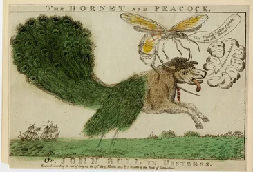 Hornissen og påfuglen, eller John Bull i nød, 1813
