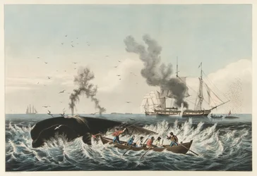 The Whale Fishery - Angripe en "riktig" hval og "Cutting In", pub. 1860 (farge litho)