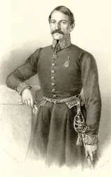 Ilija Garašanin (beskåret)