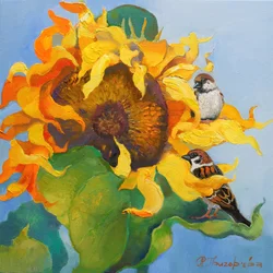 Gullsolsikke-spurver