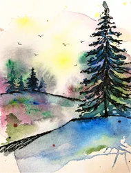 En livfull soloppgang i skogen