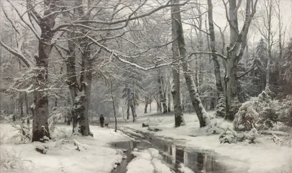 Frostvær i en bøkeskog