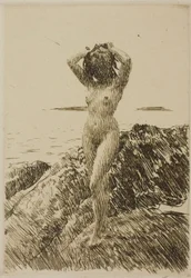 Hårtång (tangkrans)