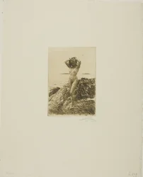 Hårtång (Seawood-krans)