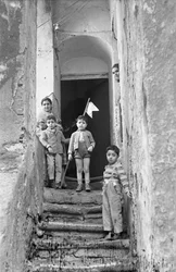 CROTONE - VINKELVINKELEN