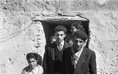 CROTONE-FAMILIEN