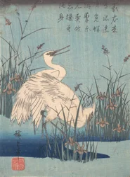 Egret i Iris and Grass, ca. 1837., ca. 1837.