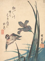 Iris og Sparrow, ca. 1832., ca. 1832.