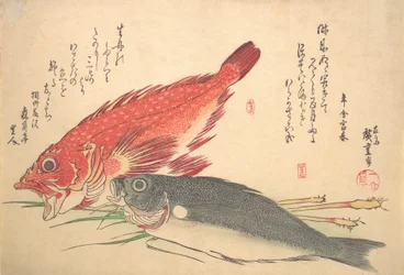 Isaki og Kasago Fish, fra serien Uozukushi Every Variety of Fish, 1830-tallet, 1830-tallet.