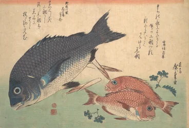 Kurodai og Kodai fisk med bambusskudd og bær, fra serien Uozukushi Every V..., 1830-tallet.